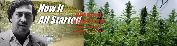 mdma Белокуриха